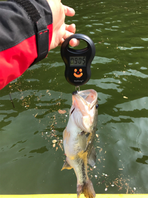 午前中ボート釣行！