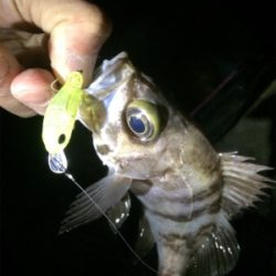 爆風ですがメバプラいけます