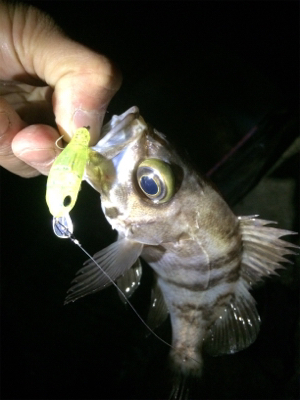 爆風ですがメバプラいけます