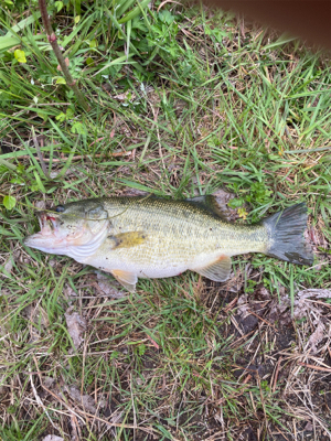 おばけワンド裏