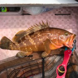 マイボートで1人タイラバ釣行