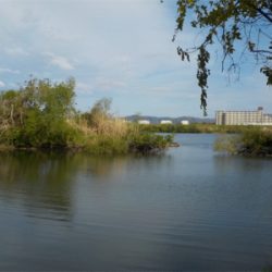 バス狙いがビッグカープに