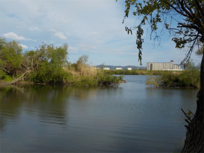 バス狙いがビッグカープに
