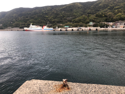 アジング+サビキ