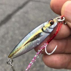 メタルジグでシーバス