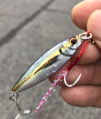 メタルジグでシーバス