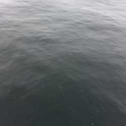 人混みさけの気分転換