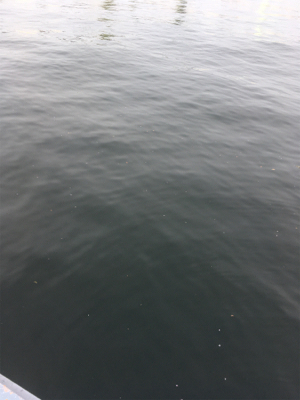 人混みさけの気分転換