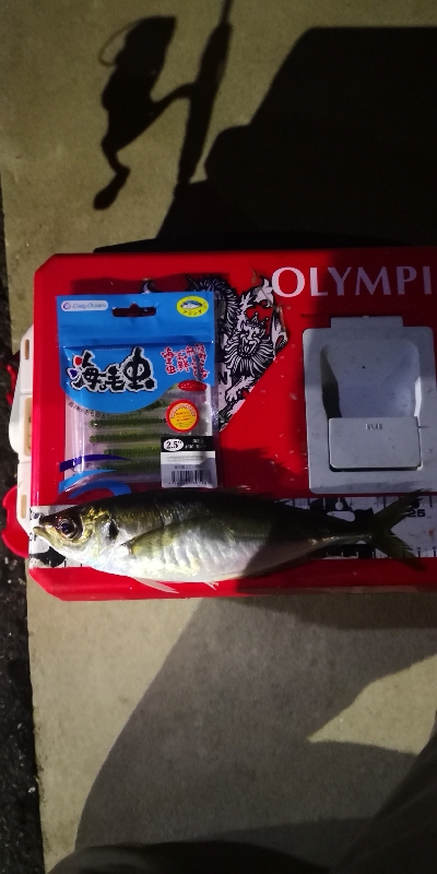 アジング練習 142