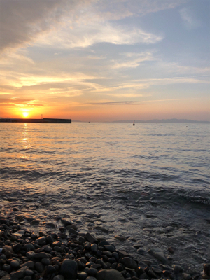 メバルとガシラ