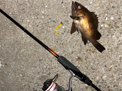 爆風メバリング