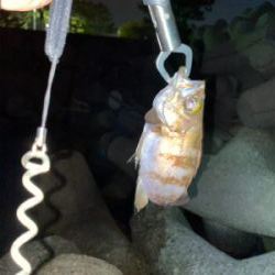 いつもの場所で