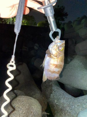 いつもの場所で