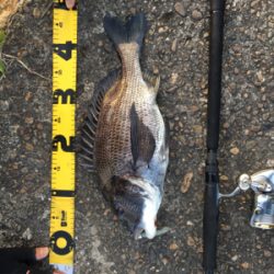 もうちょいで年なし