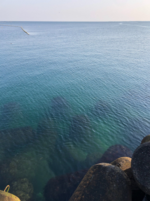 青物、フラット、ロックフィッシュ狙い