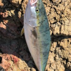 悔しさ残る釣行！