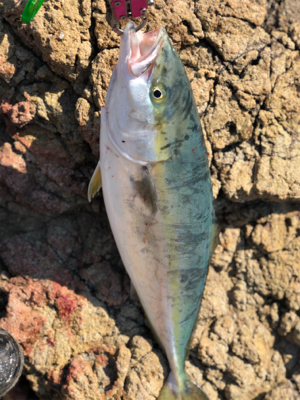 悔しさ残る釣行！