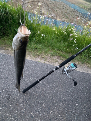 うねりの中、ゆるい場所に隠れてました