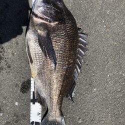 イチノ兄弟、釣果！