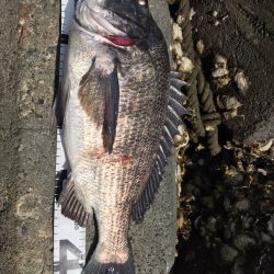 イチノ兄弟、釣果！