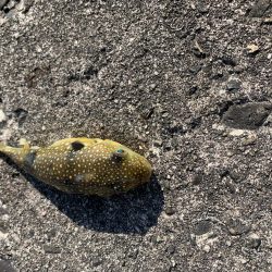 穴釣り投げ釣り