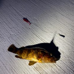 常吉リグはやっぱり最強