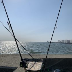 爆風釣行は凹む