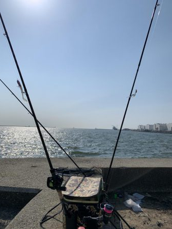 爆風釣行は凹む