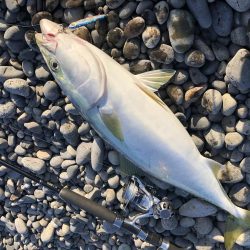 やっと釣れました