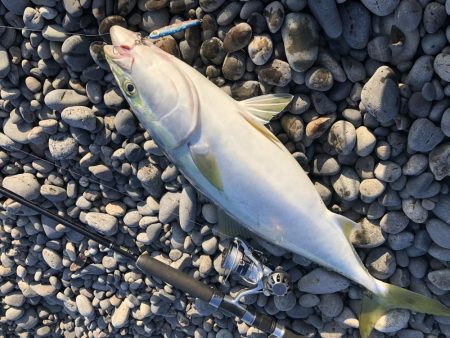 やっと釣れました