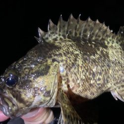 期待すべく時間に地合い