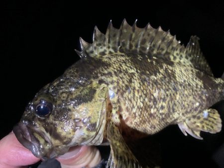 期待すべく時間に地合い