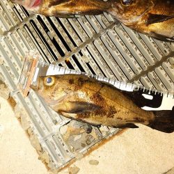 強風で厳しかったけど～