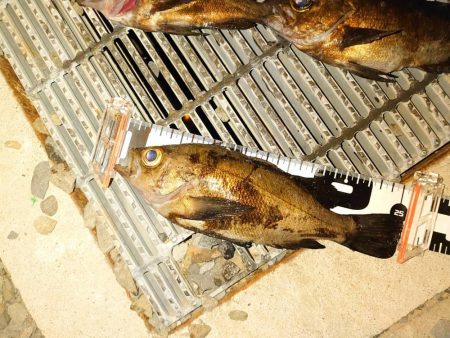 強風で厳しかったけど～