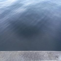 スーパームーン下にて