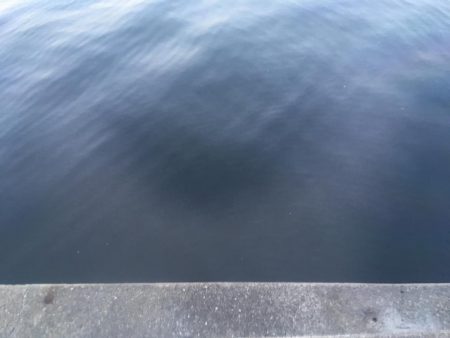 スーパームーン下にて