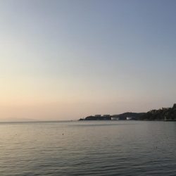 ゴミではなく…