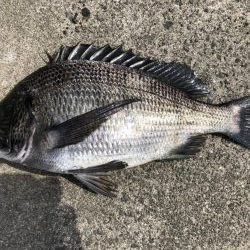 イチノ兄弟、釣果！