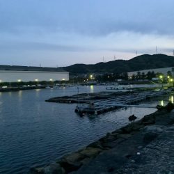 美味のマイワシを求めて