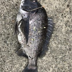 イチノ兄弟、釣果！