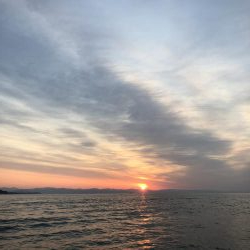 オフショア釣果