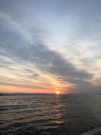 オフショア釣果