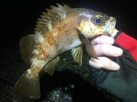 久しぶりの快勝！！