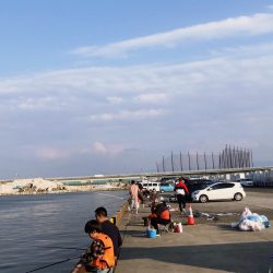 砂揚げでエビ撒き！