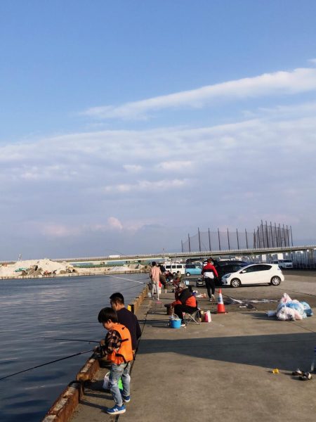 砂揚げでエビ撒き！