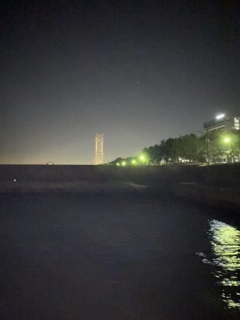 メバリング 好調