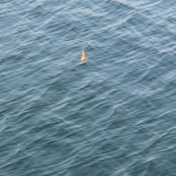 岬町は深日だけじゃない。淡輪漁港も魚影が濃い。