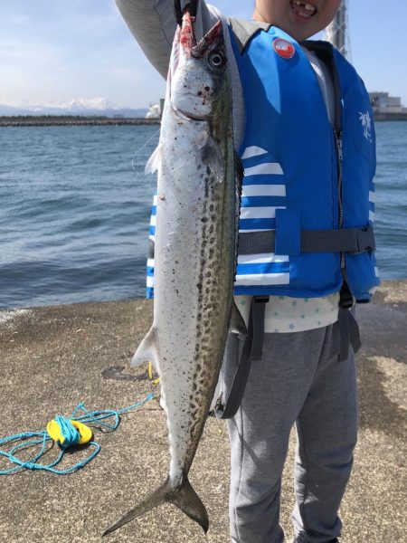 春のサゴシ祭り