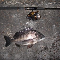 突然の強風で終了…。