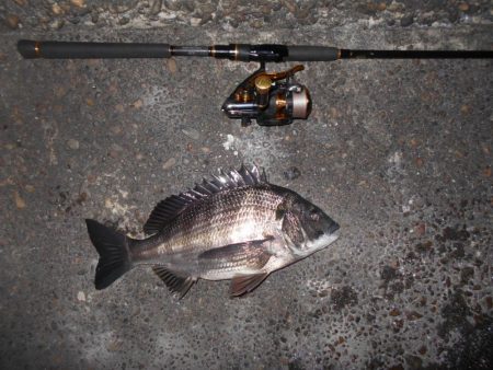 突然の強風で終了…。